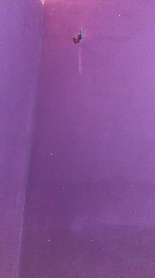 1 4990438134626912271
