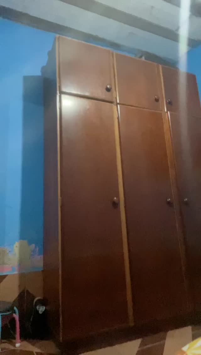 1 5035049504663930349