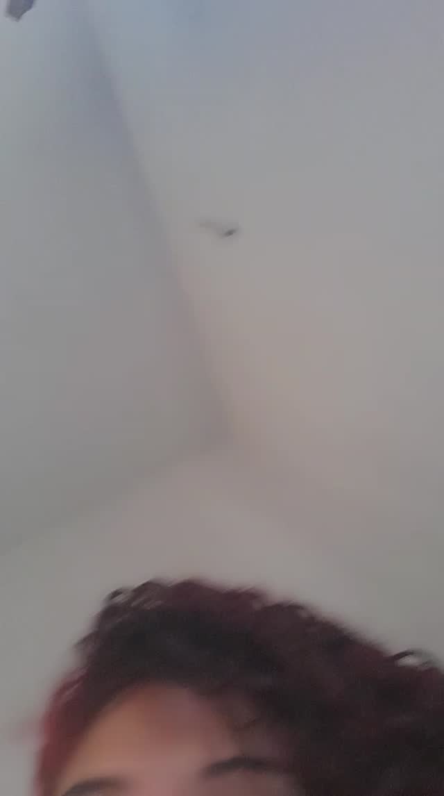 1 4940692702418174926