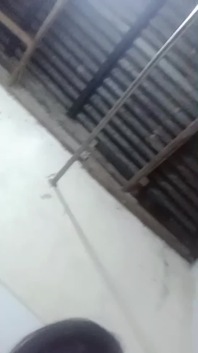 4 5864202016422633639