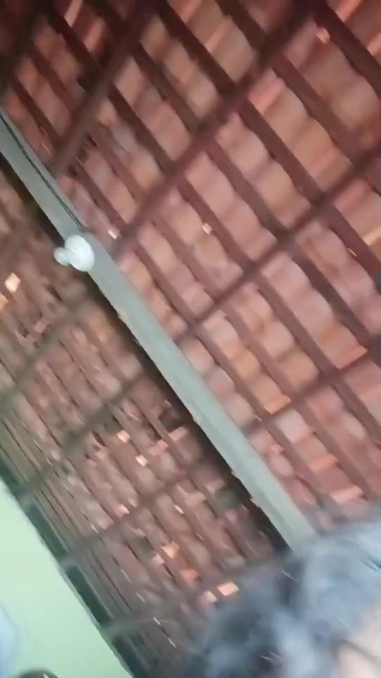 1 5080142731376854440